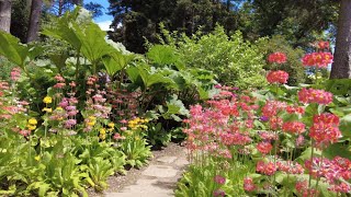 Walking Around Newby Hall Gardens North Yorkshire [upl. by Attenat]