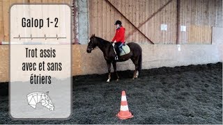 Galop 1 et 2  Trot assis avec et sans étriers [upl. by Naj]