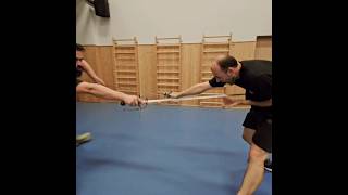 European swordfight combat 35 shorts rapier action martialarts fighting [upl. by Merwin825]