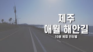 자전거 라이딩 제주 애월 해안길 라이딩🚴‍♂️ [upl. by Htiduj]