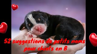 🐺🐶❤❤ 52 suggestions de petits noms pour chiots en B [upl. by Chinua171]