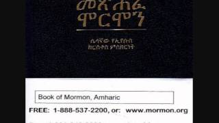 Free Amharic Book of Mormon [upl. by Larimore]