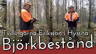 Tvillingarna Eriksson i Hyssna talar om björkbestånd [upl. by Beverly]