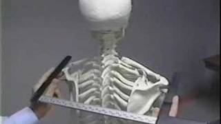 CDC Anthropometric Vid Introduction [upl. by Fasto]