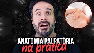 ANATOMIA PALPATÓRIA NA PRÁTICA [upl. by Enoob47]