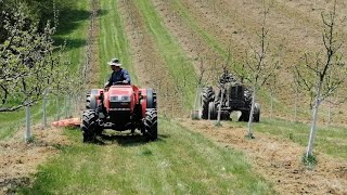 FREZIRANJE SLJIVA SA RAKOVICOM I GOLDONIJEM RAKOVICA PROKLIZALA [upl. by Anaher]