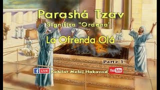 Parashá Tzav parte 1 [upl. by Ellekim250]