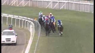 Saziwayo  SDye The super finish  Mohammad Moorad Keerpah  Free Horse Racing Tips [upl. by Cecil]