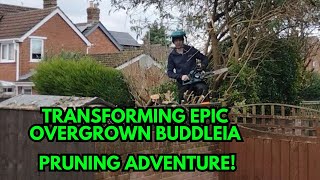 Transforming Epic Overgrown Buddleia Pruning Adventure A Day In The Life Of A UK Gardener EP21 [upl. by Angelina626]