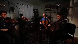 Smetana String Quartet No 1 From My Life Dover Quartet 432 Hz [upl. by Tymon711]