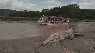 Gentle Giants Kabini Safari Adventure [upl. by Clifford578]