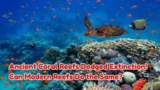 Ancient Coral Reefs Dodged Extinction – Can Modern Reefs Do the Same [upl. by Alaet743]