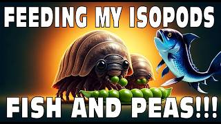 Feeding My Pet Isopods Fish And Peas Isopod House Terrarium 4K [upl. by Erasmus]