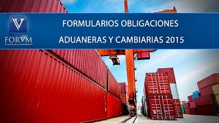 Formularios obligaciones aduaneras y cambiarias 2015 DIAN Derecho Tributario [upl. by Une]