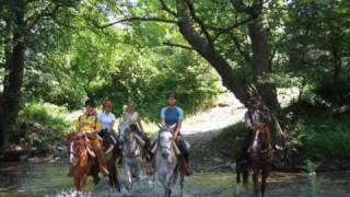 Horse riding Bulgaria  Riding base Balkan [upl. by Knepper]