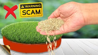 6 SECRETS TO GROW LAWN GRASS FROM SEED  Beware of Seed Scams [upl. by Winters]