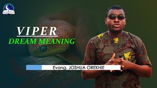 Viper Dream Meaning  Snake Biblical Interpretations and Symbolism [upl. by Brawner]