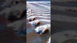 Spectacular Qiantang River Tide Chases Tourists 🌊 China QiantangRiver Tide [upl. by Inuat]