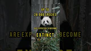 Facts about Deforestation that will shock you shorts deforestation wildlife [upl. by Accire]