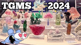 Tucson Gem amp Mineral Show 🥰❤️💎 gems crystals tucsongemshow tourmaline pegmatites beryl rocks [upl. by Heinrik]