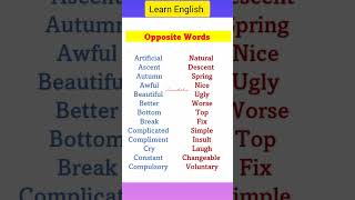 Learn English 😍 shorts [upl. by Mag]