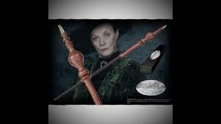 McGranitt or McGonagall harrypotter viralvideo hogwarts [upl. by Pan]