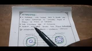 STELAR EVOLUTION IN PTERIDOPHYTES FOR BSC [upl. by Rehpotsirhcnhoj]