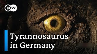 The dinosaur village  DW Documentary [upl. by Weinstein]