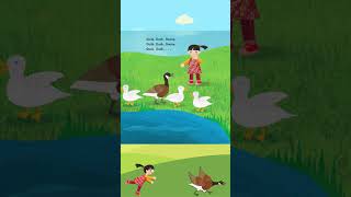 Teach Basic Concepts with Duck Duck Goose  Fun Learning for Kids [upl. by Niela]