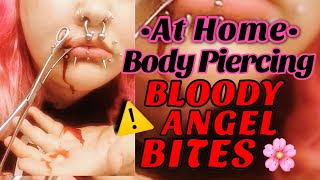 AT HOME PIERCINGS Angel Bites Blood Warning [upl. by Ajuna913]