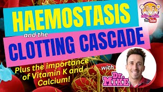 Hemostasis and the Clotting Cascade Why Vitamin K amp Calcium are important [upl. by Ramunni937]