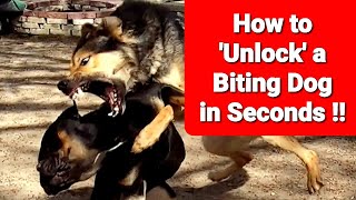 Stop a Dog Fight Instantly  Unlock a Biting Dog in SECONDS [upl. by Eceeryt]