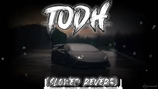 Todh SLOWED REVERB Prince Narula amp Munawar Jaymeet  Rony Ajnali amp Gill Machhrai  Lyric sound [upl. by Edwine]