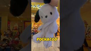 Pochacco Build A Bear shorts buildabear pochacco mymelody kuromi sanrio cinnamoroll [upl. by Nauqal776]