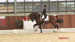 Sheridyn Ashwood and Prestige VDL Grand Prix Special [upl. by Allebram]