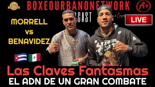 🚨 ¡IMPORTANTE MORRELL vs BENAVÍDEZ Las Claves Fantasmas de un Combate Épico [upl. by Taggart]