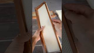 Preventing Wonky Comb amp Why Flow Hive doesn’t provide foundation Pt 3 flowhive beekeeping bees [upl. by Drofkcor240]