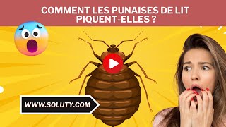 Piqûre de PUNAISES DE LIT  on vous explique Tout [upl. by Mcmath]