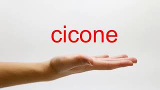 How to Pronounce cicone  American English [upl. by Adnert]