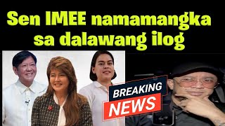 Sen IMEE ginagamit pa din VP SARA [upl. by Azarcon]