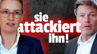 Weidel erhebt schweren VORWURF gegen Habeck [upl. by Finley]