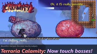 New Terraria Calamity update allows you to touch bosses ─ The most touching Calamity update [upl. by Sivia21]