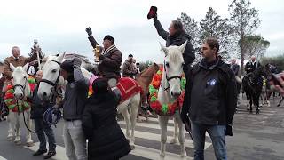 Monterotondo Festa Sant Antonio Abate 2019 [upl. by Aivatnohs]