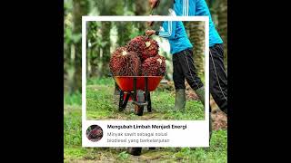 Pengembangan energi B40 dan B50 merupakan langkah strategisbagi Indonesia [upl. by Neils]