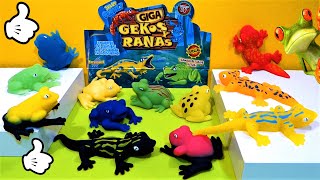 GIGA 🦎 Gekos y 🐸 Ranas  MAXI Unboxing [upl. by Rramed]