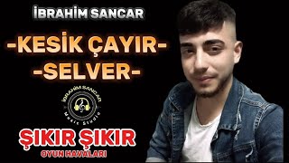 İbrahim Sancar  Kesik Çayır amp Selver yeni potpori oyunhavalari [upl. by Ottavia967]