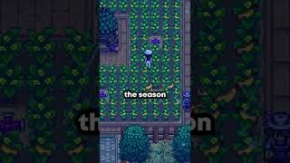 4 Brand New Crops Added Into 16 Update Of Stardew Valley stardew stardewvalley [upl. by Dreda]