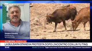 Rainews24 intervista Scardino sulla siccita in Sicilia [upl. by Areek]