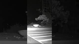 NEIGHBORS GREEDY CAT CAUGHT ON CAMERA [upl. by Roice]