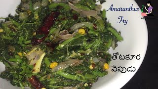 తోటకూర వేపుడు రుచికరంగా  Andhra Style Thotakura Fry In Telugu  Amaranthus Fry  Thotakura Recipes [upl. by Shreeves464]